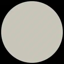 Cast Coated Pale Gray - Image 2