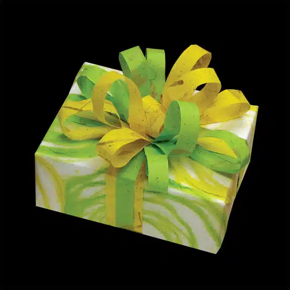 Whimzy Giftwrap
