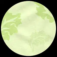 Boxed Stationery-Floating leaves-apple green