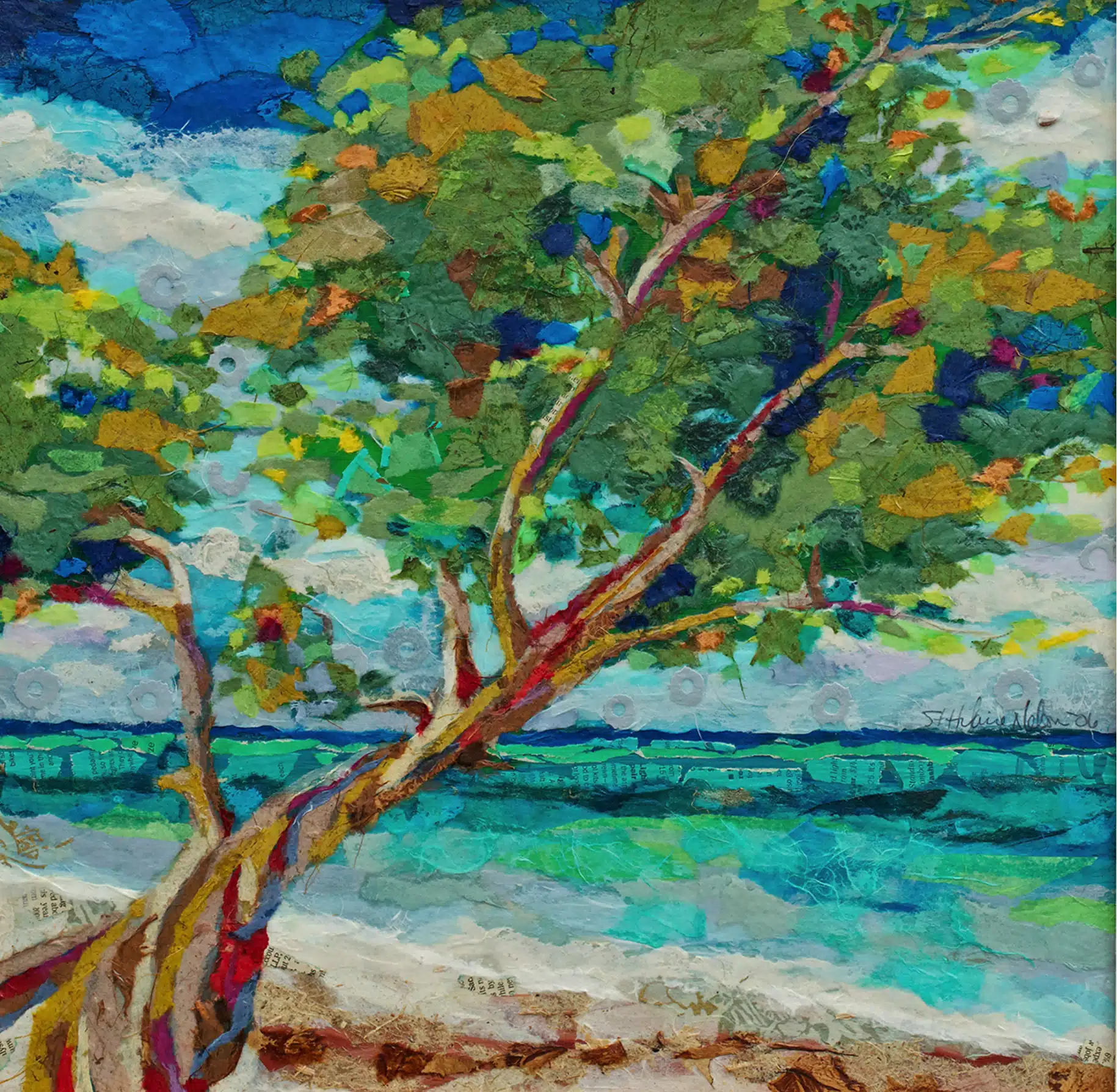 “Beach Tree 2” by Elizabeth St. Hilaire