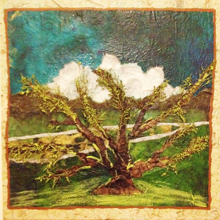 “Rawhide Park” by Beth Grubb
