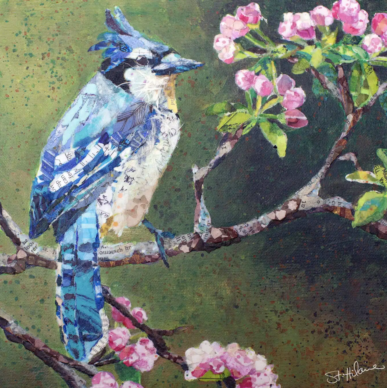 “Blue Jay on Apple Blossoms” by Elizabeth St. Hilaire
