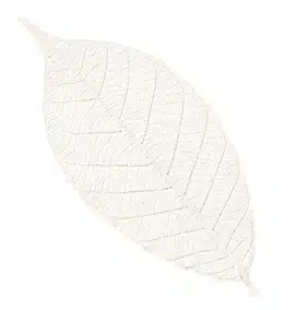Rubber tree leaves 3″ – white