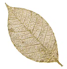 Rubber tree leaves 3″ – Gold