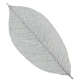 Rubber tree leaves 5″ – Silver