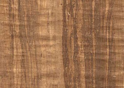 Dark Papyrus<BR>12″ x 16″