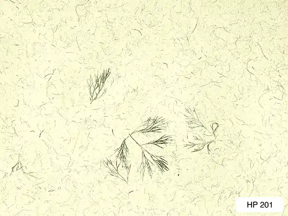 Mottled-Vegetable Fiber