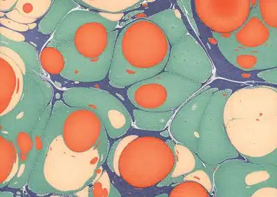 Molecular – Jade/Orange/Buff/Navy