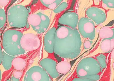 Molecular – Molecular – Mint/Pink/Red/Black