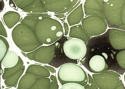 Molecular-Jade/Riverstone