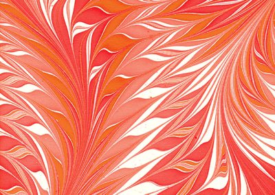 Flamboyant – Crimson/Orange