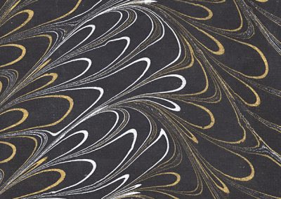 Grande Metallic Plumes-Gold/Silver on Black