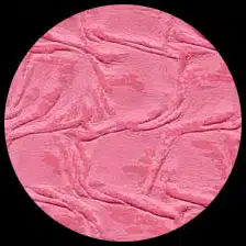 Frenzi-Bubblegum Pink