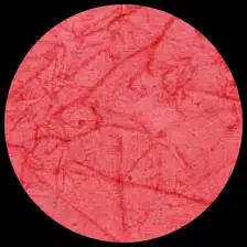 Bright Marbled-Magenta