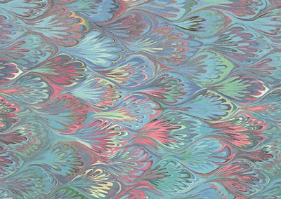 Marbled Peacock Plumes