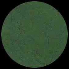 Lokta-Grass Green