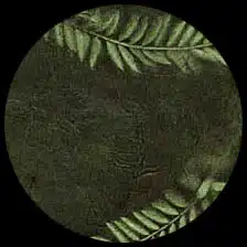 Sun washed Fern - Palm Green/Forest