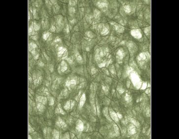 Paper Fusion-Ogura-Olive