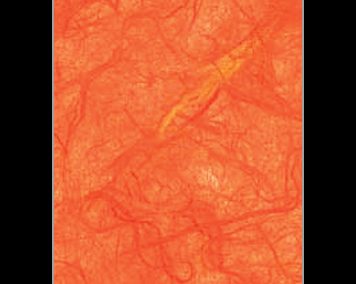 Paper Fusion-Unryu-Sienna