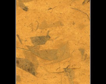 Paper Fusion-Mango-Mustard