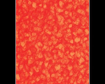 Paper Fusion-Two Layer Lace-Red/Orange