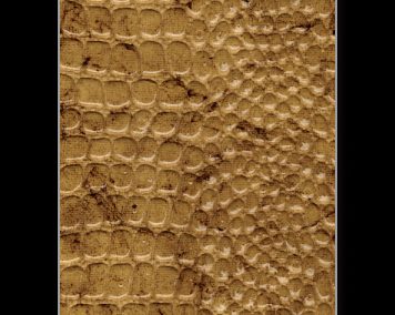 Paper Fusion-Reptile-Desert Gold