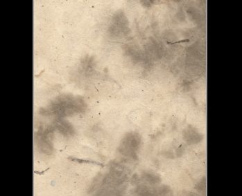 Paper Fusion-Pinto Lokta-Ivory/Brown