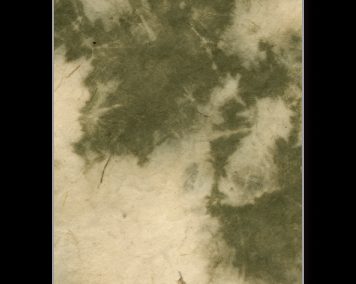 Paper Fusion-Pinto Lokta-Olive