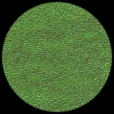Iridescent – Festive Green