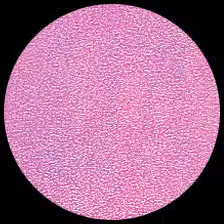 Iridescent – Cotton Candy