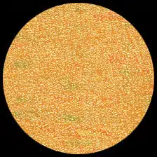 Iridescent – Gold Rush