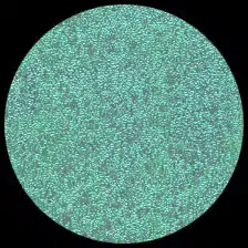 Iridescent – Teal Appeal