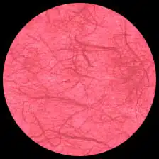 Unryu-Cherry<BR>12″ x 12″ Pack of 25