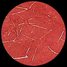 Metallic Thread-Red/Gold<BR>12″x12″ Pack of 25