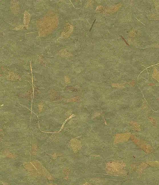 Mango-olive<BR>12" x 12" Pack of 25 - Image 3