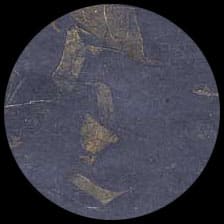 Mango-Blue<BR>12″ x 12″ Pack of 25