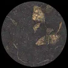 Mango-Black<BR>12″ x 12″ Pack of 25