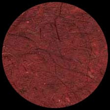 Banana-Burgundy<BR>12″ x 12″ Pack of 25