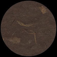 Banana-Deep Brown<BR>12″ x 12″ Pack of 25