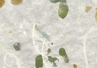 Raintree leaves – Smooth/Natural<BR>12″ x 12″ Pack of 25