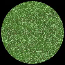 Iridescent – Festive Green<BR>12″ x 12″ Pack of 25