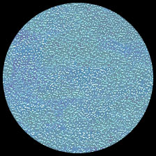 Iridescent – Ice Blue<BR>12″ x 12″ Pack of 25