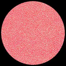 Iridescent – Melon<BR>12″ x 12″ Pack of 25