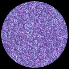 Iridescent – Purple Haze<BR>12″ x 12″ Pack of 25
