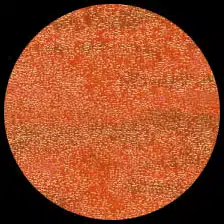 Iridescent – Orange Peel<BR>12″ x 12″ Pack of 25