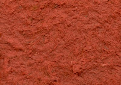 Birds Nest – Russett Red