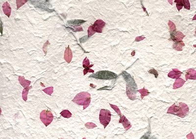 Bougainvillea and Bamboo