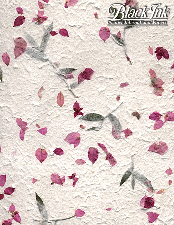 Bougainvillea and Bamboo