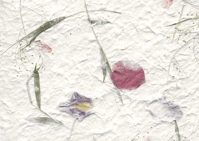 Iris/Marigold/Bougainvillea