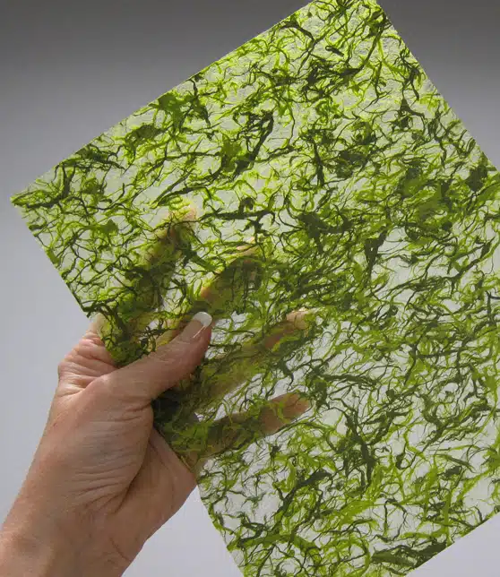 Kozo Fibers-Lime/Olive - Image 4